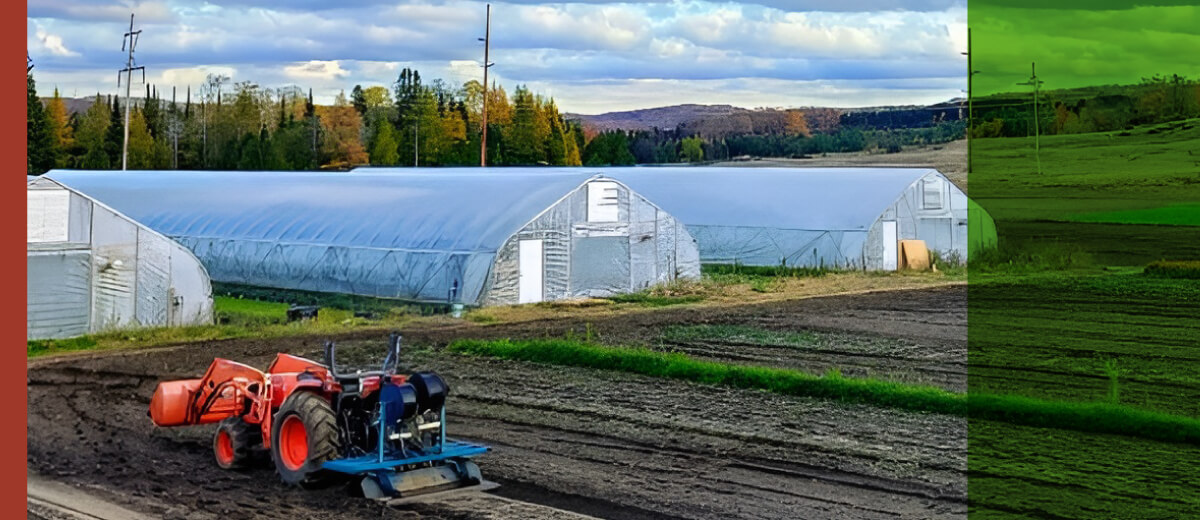 Why a Hoop House is right for you