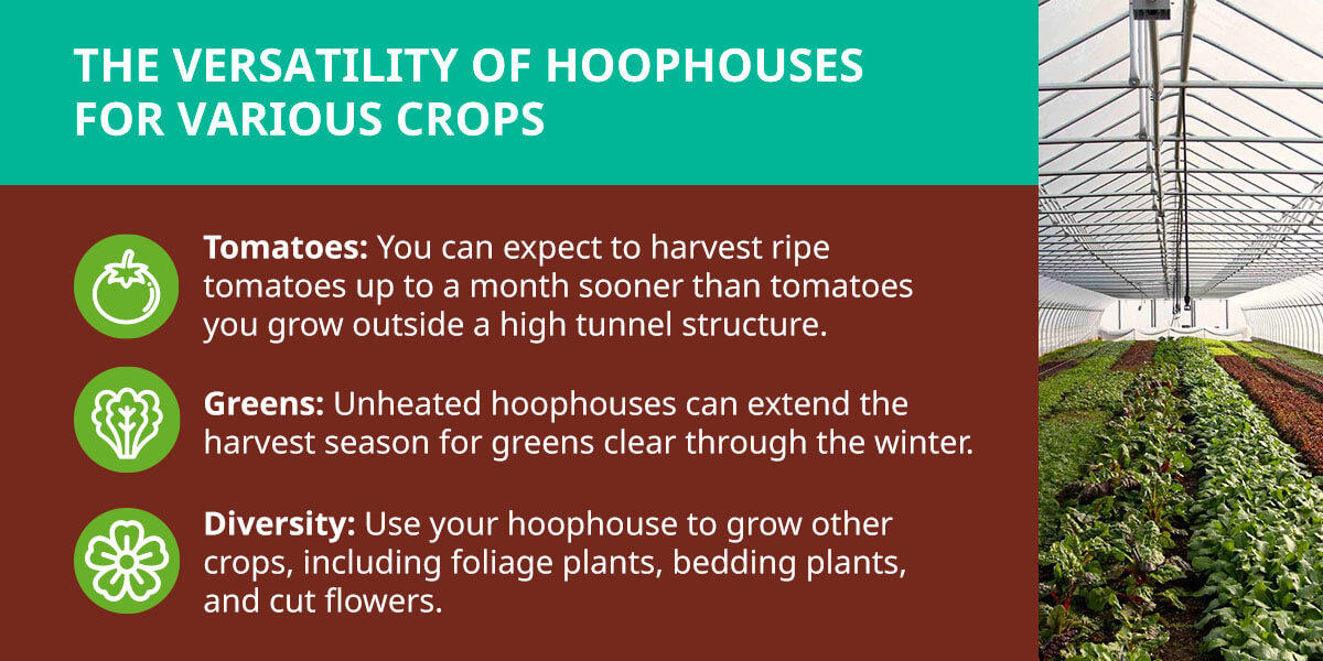 The Versatility of Hoop Houses for Various Crops