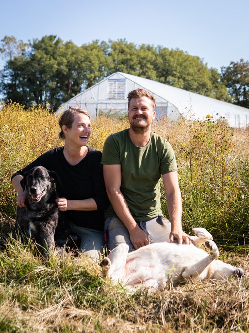 Nifty Hoops Hoop House at Mavourneen Farm